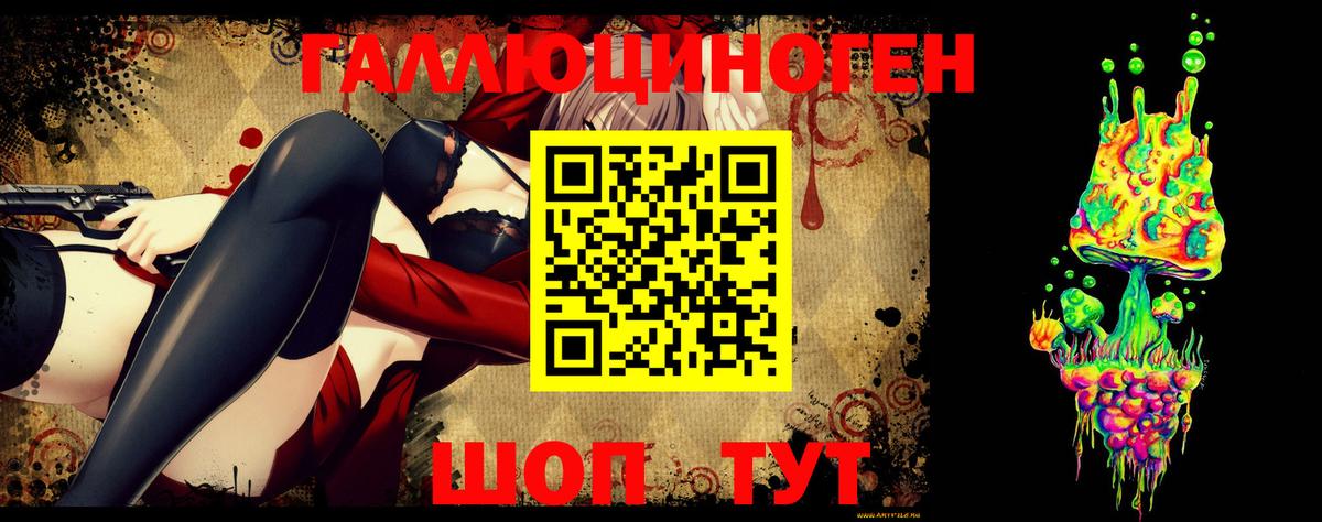 Галлюциногенные грибы Psilocybe  Вход с VPN  Холмск 